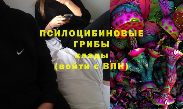 твердый Володарск