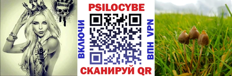 Галлюциногенные грибы Cubensis  купить наркоту  Волосово 